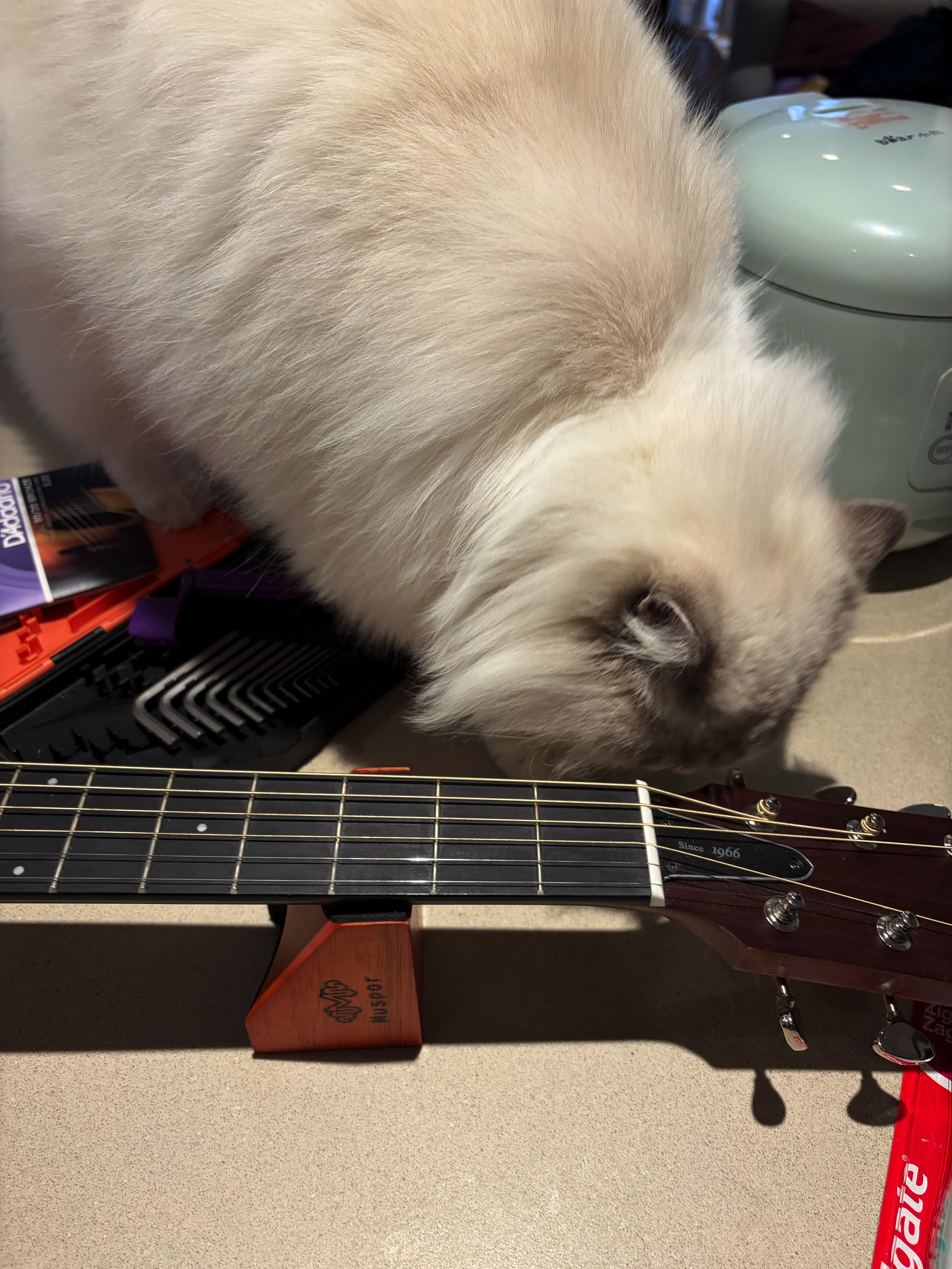 Guitar repair and studio work